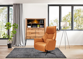 TV-Sessel vito REAR in light-cognac